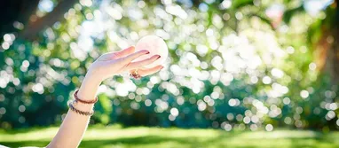 Mentor Package Tier 1